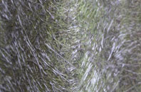 Gerrards Cross fibreglass roof work